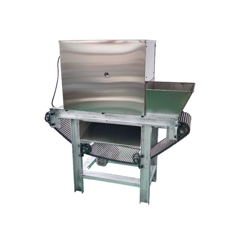 Chain garlic peeling machine